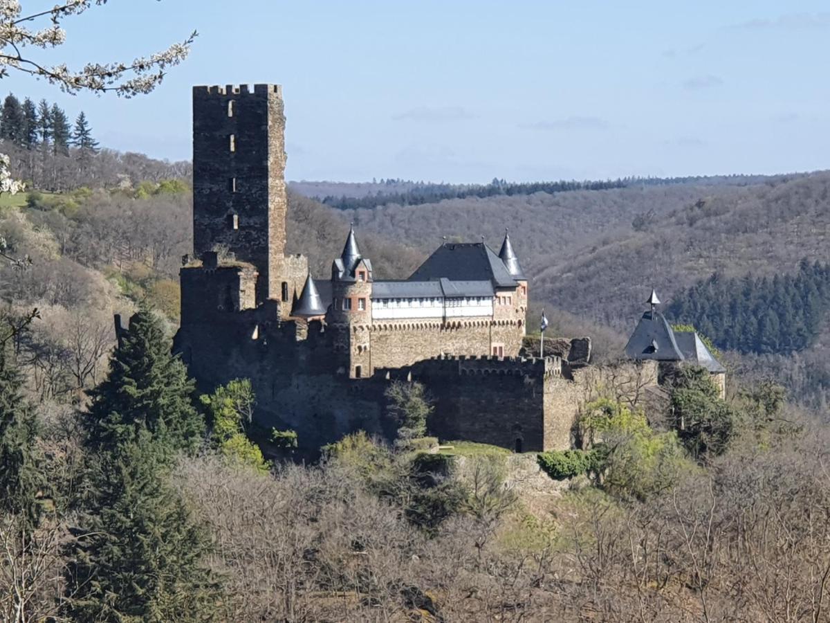 Am Burggraben Auf Der Sauerburg Lägenhet Sauerthal Exteriör bild